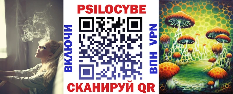 мега онион  Дедовск  Галлюциногенные грибы Cubensis 