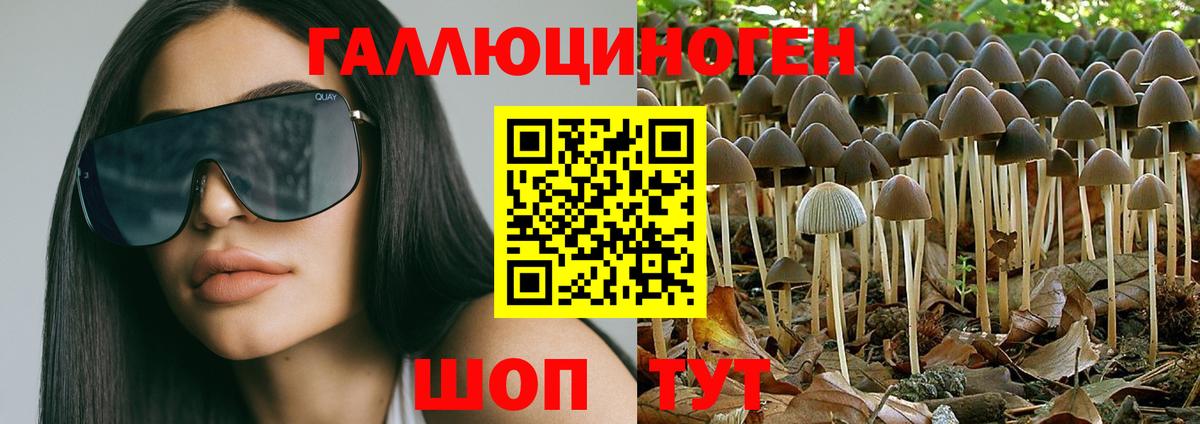 Псилоцибиновые грибы мицелий Дедовск