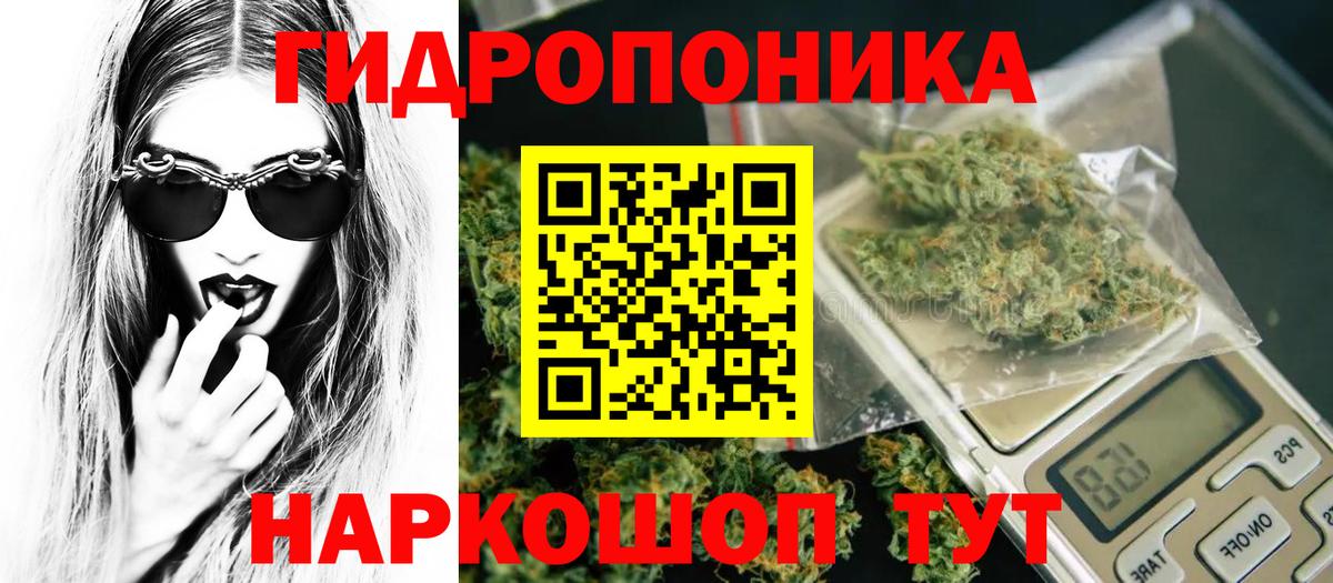Канабис ГИДРОПОН  МАРИХУАНА тримм  Вход с VPN  Дедовск  Шишки марихуана Amnesia 
